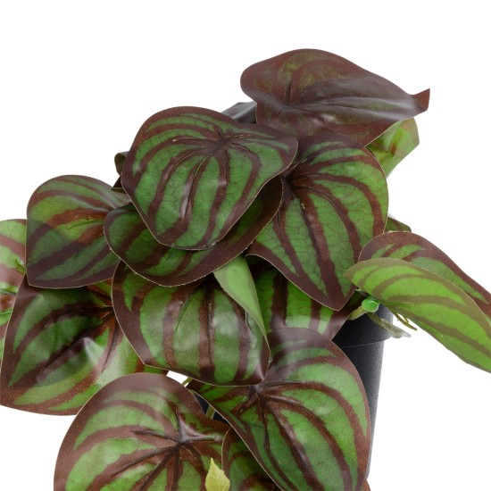 Artificial Garden BROWN PEPEROMIA PLANT 20952 Διακοσμητικό Φυτό Καφέ Πεπερόμια Φ23 x Υ16cm