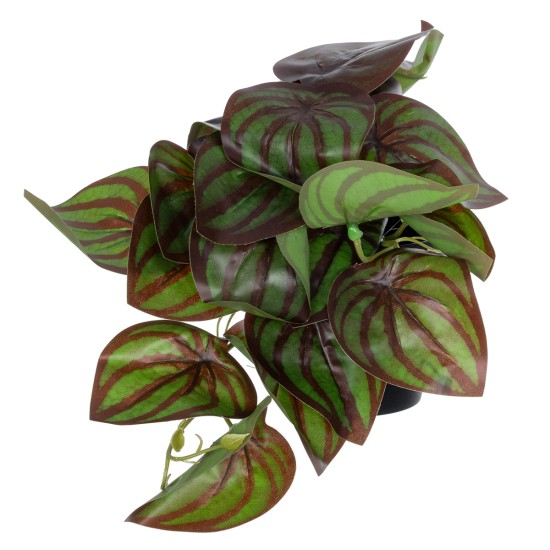 Artificial Garden BROWN PEPEROMIA PLANT 20952 Διακοσμητικό Φυτό Καφέ Πεπερόμια Φ23 x Υ16cm