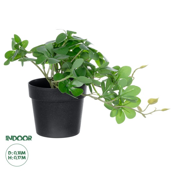 Artificial Garden SCHEFFLERA PLANT 20954 Διακοσμητικό Φυτό Σεφλέρα Φ18 x Υ17cm