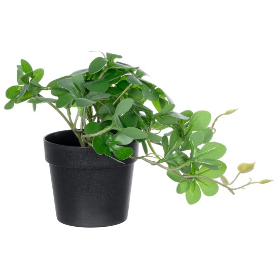 Artificial Garden SCHEFFLERA PLANT 20954 Διακοσμητικό Φυτό Σεφλέρα Φ18 x Υ17cm