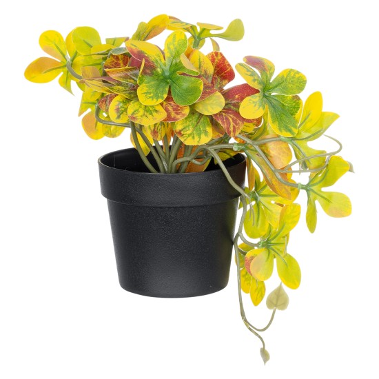 Artificial Garden SCHEFFLERA MIX PLANT 20956 Διακοσμητικό Φυτό Σεφλέρα Φ20 x Υ18cm