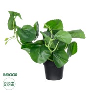 Artificial Garden BELL PLANT 20957 Διακοσμητικό Φυτό Σεφλέρα Φ47 x Υ22cm