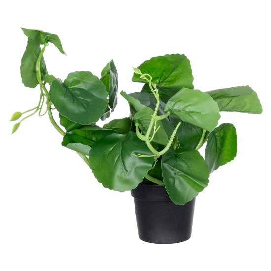 Artificial Garden BELL PLANT 20957 Διακοσμητικό Φυτό Σεφλέρα Φ47 x Υ22cm