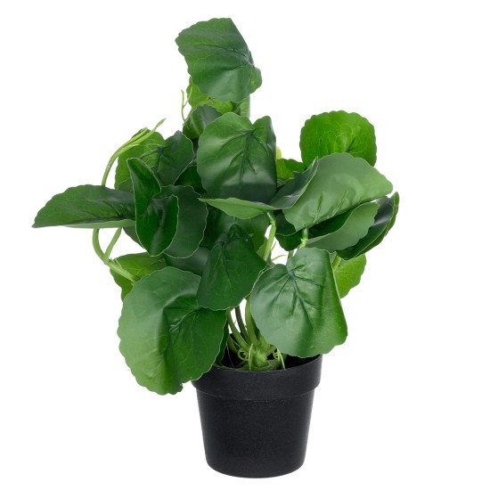 Artificial Garden BELL PLANT 20957 Διακοσμητικό Φυτό Σεφλέρα Φ47 x Υ22cm