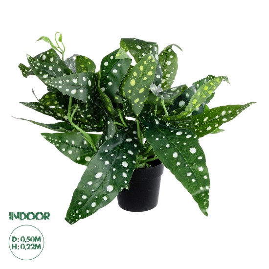 Artificial Garden BEGONIA POLKA DOT PLANT 20959 Διακοσμητικό Φυτό Βιγόνια Φ50 x Υ22cm