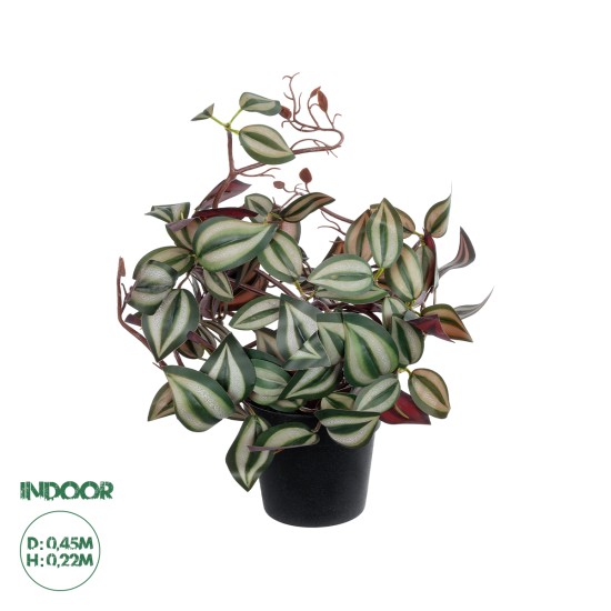 Artificial Garden ZEBRINA PLANT 20961 Διακοσμητικό Φυτό Ζεμπρίνα Φ45 x Υ22cm