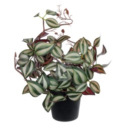 Artificial Garden ZEBRINA PLANT 20961 Διακοσμητικό Φυτό Ζεμπρίνα Φ45 x Υ22cm