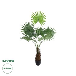 Artificial Garden SERENOA PALM PLANT 20971 Διακοσμητικό Φυτό Φοίνικα Σερενόα Φ60 x Υ140cm