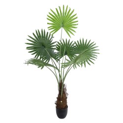 Artificial Garden SERENOA PALM PLANT 20971 Διακοσμητικό Φυτό Φοίνικα Σερενόα Φ60 x Υ140cm