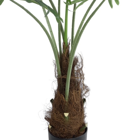 Artificial Garden SERENOA PALM PLANT 20971 Διακοσμητικό Φυτό Φοίνικα Σερενόα Φ60 x Υ140cm