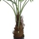 Artificial Garden SERENOA PALM PLANT 20971 Διακοσμητικό Φυτό Φοίνικα Σερενόα Φ60 x Υ140cm