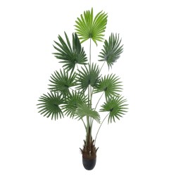 Artificial Garden SERENOA PALM PLANT 20972 Διακοσμητικό Φυτό Φοίνικα Σερενόα Φ103 x Υ180cm