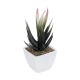 Artificial Garden SUCCULENT ALOE POTTED PLANT 20974 Διακοσμητικό Φυτό Αλόης Φ7 x Υ14cm