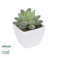 Artificial Garden  SUCCULENT SEDEVERIA POTTED PLANT 20975 Διακοσμητικό Φυτό Φοίνικα Σερενόα Φ7 x Υ8cm