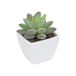 Artificial Garden  SUCCULENT SEDEVERIA POTTED PLANT 20975 Διακοσμητικό Φυτό Φοίνικα Σερενόα Φ7 x Υ8cm