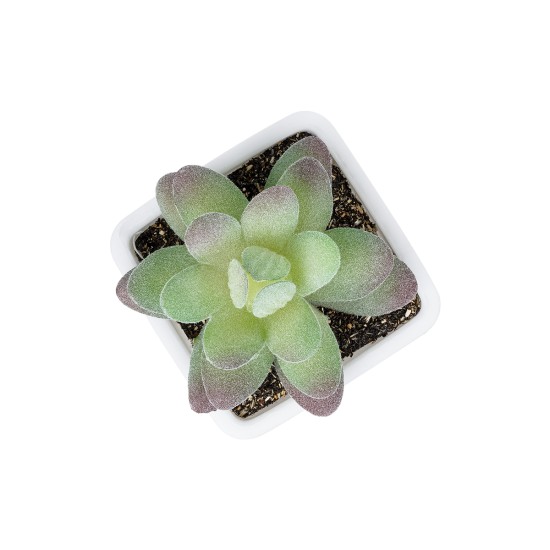 Artificial Garden  SUCCULENT SEDEVERIA POTTED PLANT 20975 Διακοσμητικό Φυτό Φοίνικα Σερενόα Φ7 x Υ8cm