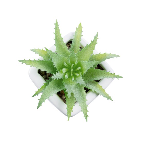 Artificial Garden SUCCULENT ALOE LOTUS PLANT 20976 Διακοσμητικό Φυτό Παχύφυτο Λωτός Αλόης Φ8 x Υ8cm