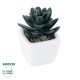 Artificial Garden SUCCULENT SEDEVERIA PLANT 20977 Διακοσμητικό Φυτό Παχύφυτο Σεντεβέρια Φ6 x Υ9cm