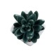 Artificial Garden SUCCULENT SEDEVERIA PLANT 20977 Διακοσμητικό Φυτό Παχύφυτο Σεντεβέρια Φ6 x Υ9cm