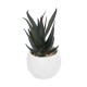 Artificial Garden SUCCULENT ALOE POTTED PLANT 20978 Διακοσμητικό Φυτό Αλόης Φ7 x Υ14cm