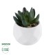 Artificial Garden SUCCULENT CRASSULA 20979 Διακοσμητικό Φυτό Παχύφυτο Κράσουλα Υ9cm