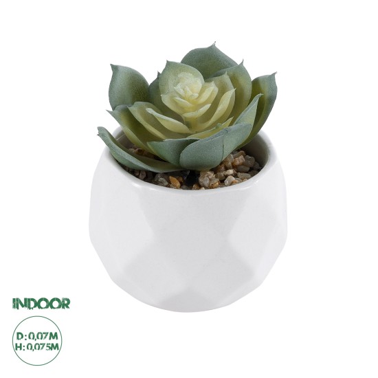 Artificial Garden SUCCULENT ECHEVERIA 20980 Διακοσμητικό Φυτό Παχύφυτο Εχεβέρια Υ7.5cm