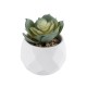 Artificial Garden SUCCULENT ECHEVERIA 20980 Διακοσμητικό Φυτό Παχύφυτο Εχεβέρια Υ7.5cm