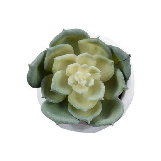 Artificial Garden SUCCULENT ECHEVERIA 20980 Διακοσμητικό Φυτό Παχύφυτο Εχεβέρια Υ7.5cm