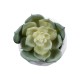 Artificial Garden SUCCULENT ECHEVERIA 20980 Διακοσμητικό Φυτό Παχύφυτο Εχεβέρια Υ7.5cm