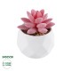 Artificial Garden SUCCULENT SEDEVERIA 20981 Διακοσμητικό Φυτό Παχύφυτο Σεντεβέρια Υ8cm