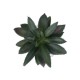 Artificial Garden SUCCULENT ALOE POTTED PLANT 20983 Διακοσμητικό Φυτό Αλόης Φ9 x Υ12cm