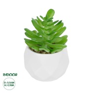 Artificial Garden SUCCULENT CRASSULA POTTED PLANT 20986 Διακοσμητικό Φυτό Κρασούλα Φ6 x Υ10cm