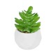 Artificial Garden SUCCULENT CRASSULA POTTED PLANT 20986 Διακοσμητικό Φυτό Κρασούλα Φ6 x Υ10cm