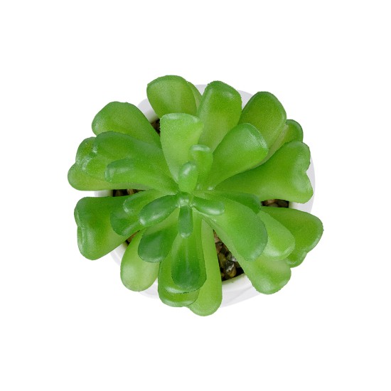 Artificial Garden SUCCULENT CRASSULA POTTED PLANT 20986 Διακοσμητικό Φυτό Κρασούλα Φ6 x Υ10cm