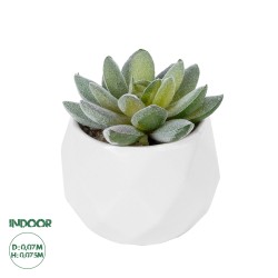 Artificial Garden SUCCULENT SEDEVERIA POTTED PLANT 20987 Διακοσμητικό Φυτό Σεδεβέρια Φ7 x Υ7,5cm