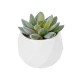 Artificial Garden SUCCULENT SEDEVERIA POTTED PLANT 20987 Διακοσμητικό Φυτό Σεδεβέρια Φ7 x Υ7,5cm