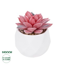 Artificial Garden SUCCULENT SEDEVERIA POTTED PLANT 20989 Διακοσμητικό Φυτό Σεδεβέρια Φ6,5 x Υ8cm