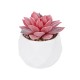 Artificial Garden SUCCULENT SEDEVERIA POTTED PLANT 20989 Διακοσμητικό Φυτό Σεδεβέρια Φ6,5 x Υ8cm