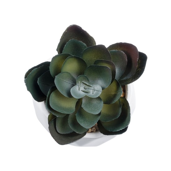 Artificial Garden SUCCULENT ECHEVERIA 20990 Διακοσμητικό Φυτό Παχύφυτο Εχεβέρια Υ8.5cm