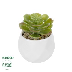 Artificial Garden SUCCULENT ECHEVERIA POTTED PLANT 20991 Διακοσμητικό Φυτό Εχεβέρια Φ6 x Υ8,5cm