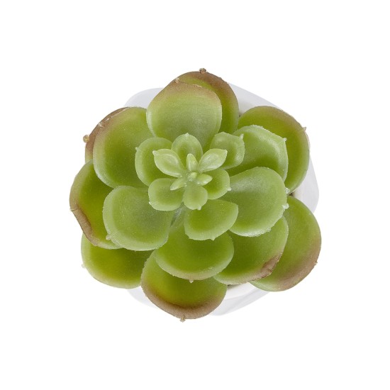 Artificial Garden SUCCULENT ECHEVERIA POTTED PLANT 20991 Διακοσμητικό Φυτό Εχεβέρια Φ6 x Υ8,5cm