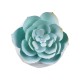 Artificial Garden SUCCULENT ECHEVERIA 20996 Διακοσμητικό Φυτό Παχύφυτο Εχεβέρια Υ7cm