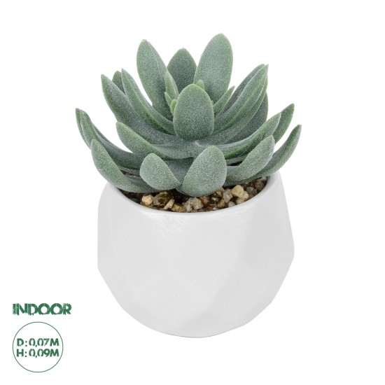 Artificial Garden SUCCULENT SEDEVERIA POTTED PLANT 20998 Διακοσμητικό Φυτό Σεδεβέρια  Φ7 x Υ9cm