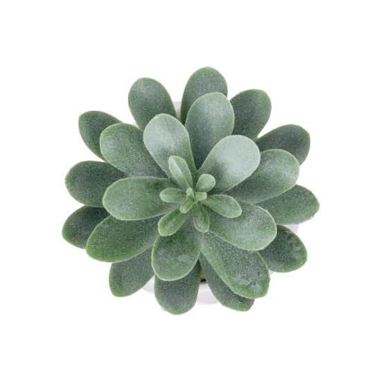 Artificial Garden SUCCULENT SEDEVERIA POTTED PLANT 20998 Διακοσμητικό Φυτό Σεδεβέρια  Φ7 x Υ9cm