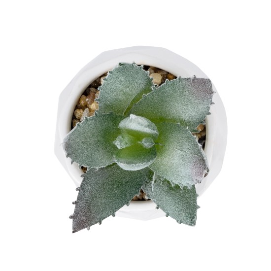 Artificial Garden SUCCULENT ALOE POTTED PLANT 20999 Διακοσμητικό Φυτό Αλόη  Φ7 x Υ9cm