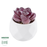 Artificial Garden SUCCULENT ECHEVERIA 21000 Διακοσμητικό Φυτό Παχύφυτο Εχεβέρια Υ7.5cm