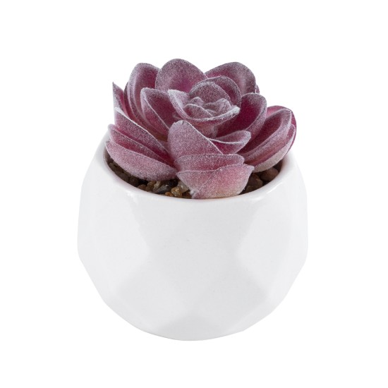 Artificial Garden SUCCULENT ECHEVERIA 21000 Διακοσμητικό Φυτό Παχύφυτο Εχεβέρια Υ7.5cm