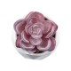 Artificial Garden SUCCULENT ECHEVERIA 21000 Διακοσμητικό Φυτό Παχύφυτο Εχεβέρια Υ7.5cm