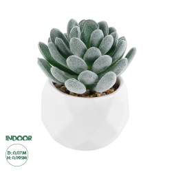 Artificial Garden SUCCULENT SEDEVERIA 21001 Διακοσμητικό Φυτό Παχύφυτο Σεντεβέρια Υ9.5cm