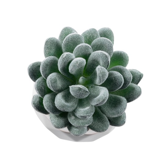 Artificial Garden SUCCULENT SEDEVERIA 21001 Διακοσμητικό Φυτό Παχύφυτο Σεντεβέρια Υ9.5cm